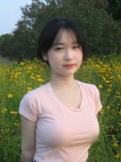 依法依规征收该征收的税